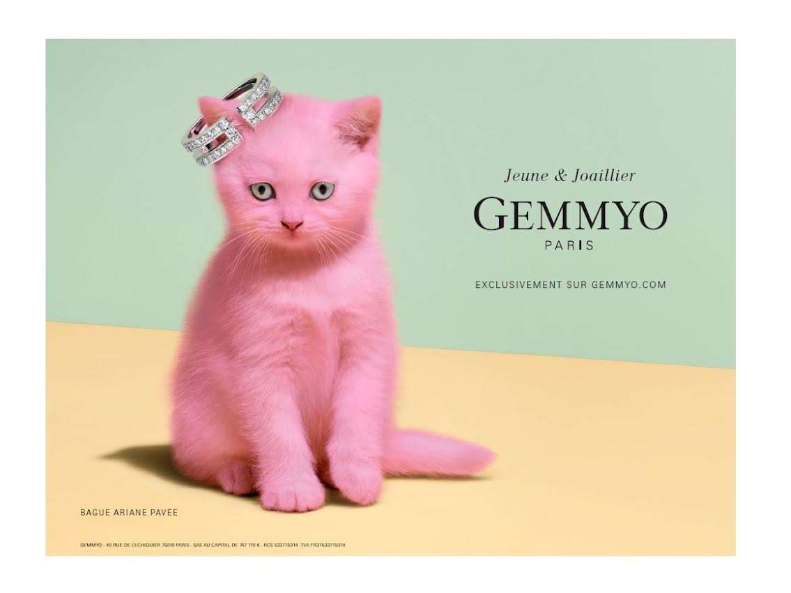 Campagne Gemmyo
