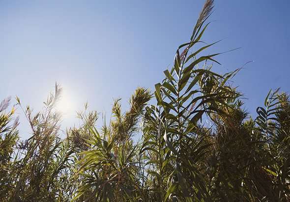 inspiration ciel corse