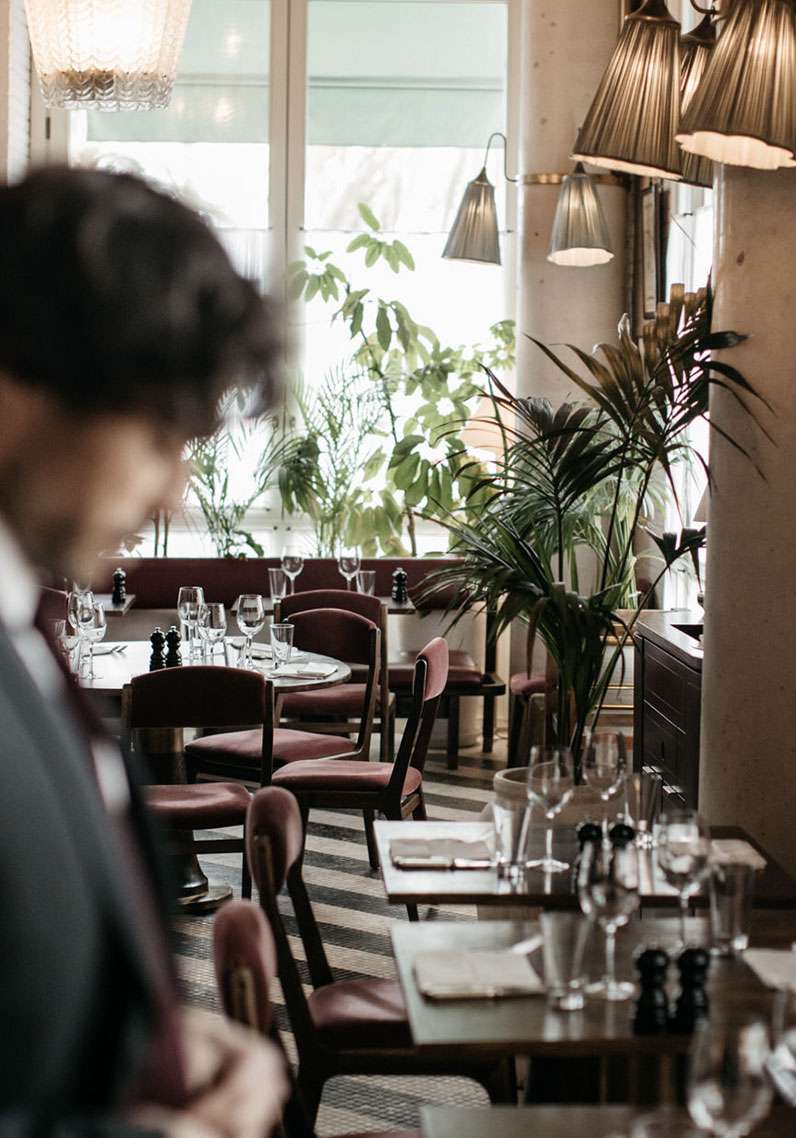 Costume sur mesure faubourg saint sulpice plante verte intérieur café barcelone déco intérieure
