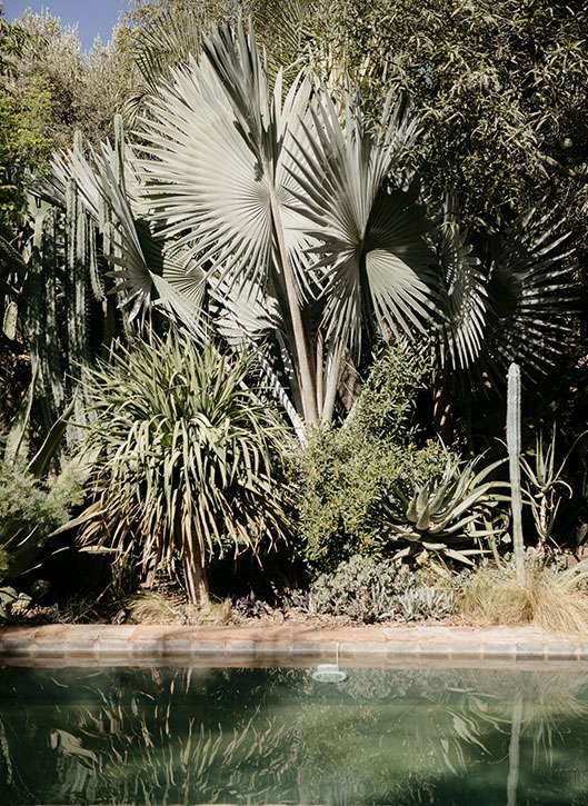 jardin