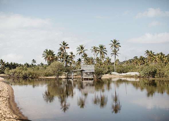 paysage