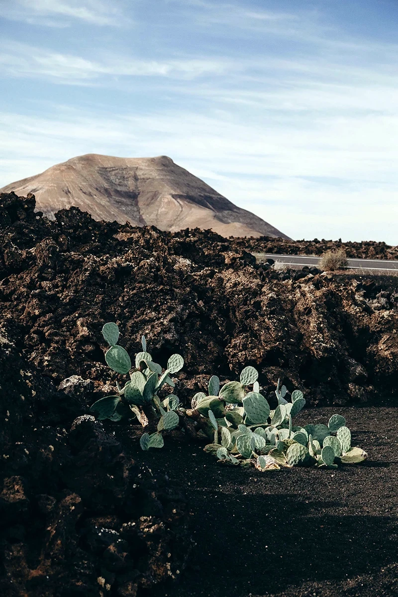 FAUBOURGSAINTSULPICESS24-20